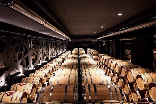 Botti di rovere nella cantina di una delle aziende vinicole